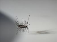2001-3 draadobjekt 'zomerspinsels IV'.JPG